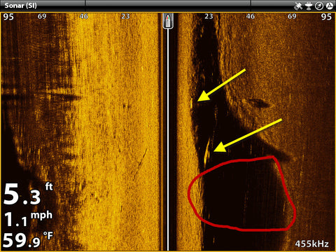 Humminbird side imaging