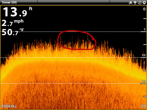 Humminbird down imaging