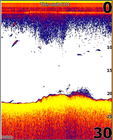 understanding sonar