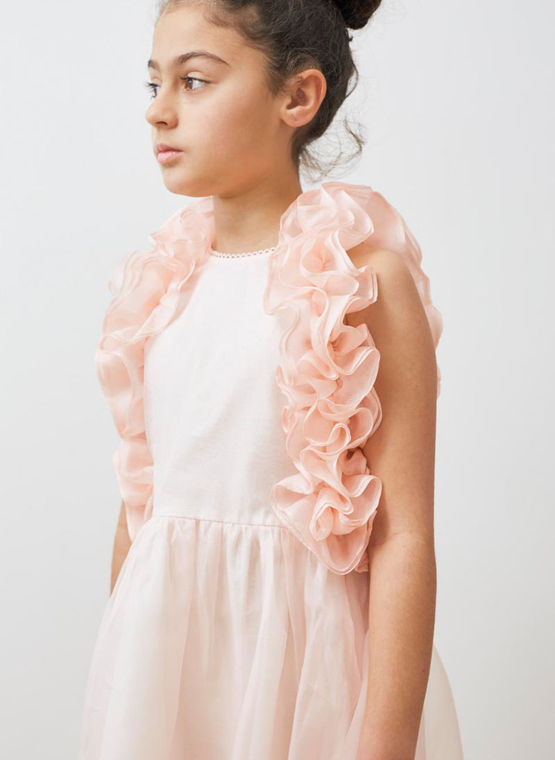 Petite Amalie Organza Ruffle Dress