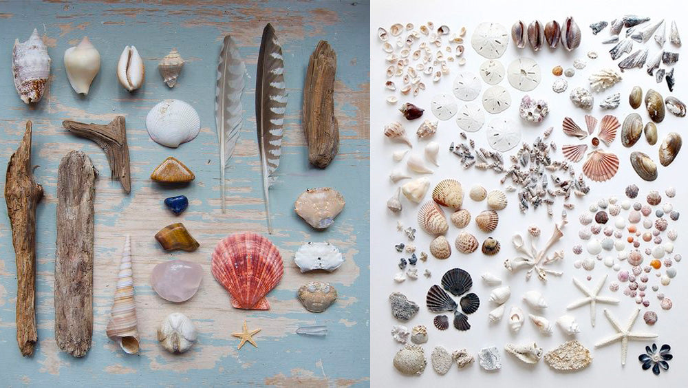 Beach treasures found on Pinterest