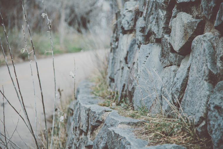 Photo of stone wall along path