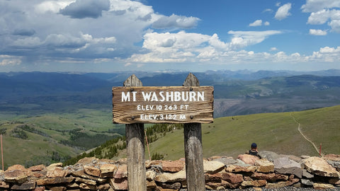 Mt. Washburn, Yellowstone National Park