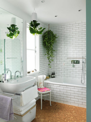 Exemple de salle de bain avec plantes vertes