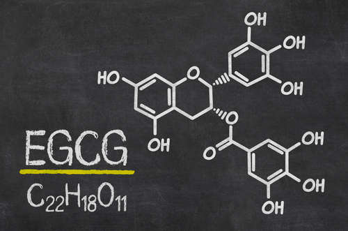 EGCG is an antioxidant found in many types of tea, especially 137 times more abundant in matcha tea