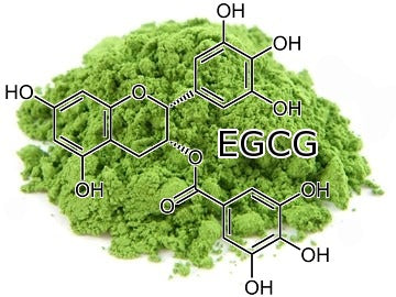 matcha green tea EGCG