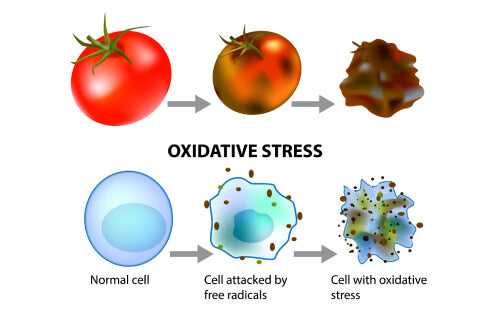 Free-radicals