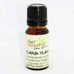 ylang ylang