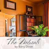 C2 Paint - The Naturals by Barry Dixon