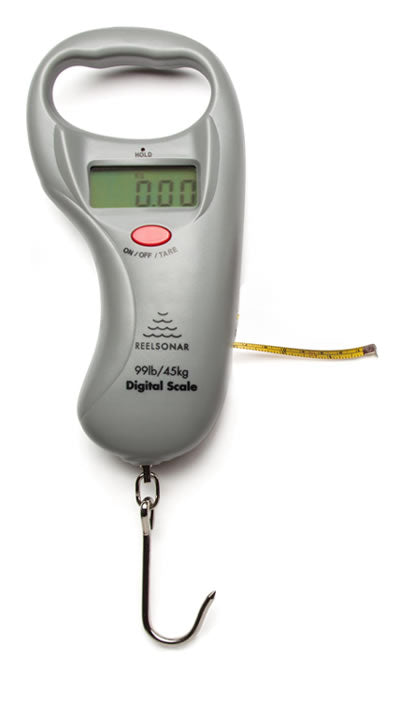 reliable accurate digital scale