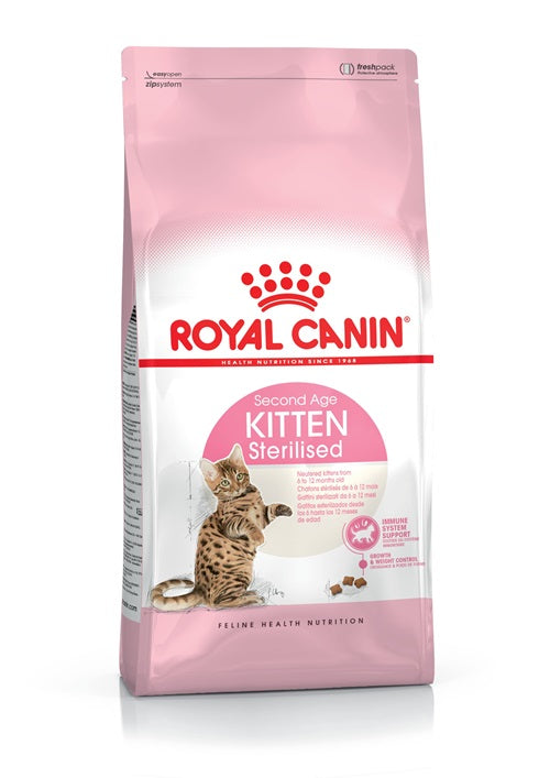 royal kitten sterilised