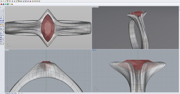 screenshot of Computer modeled ring