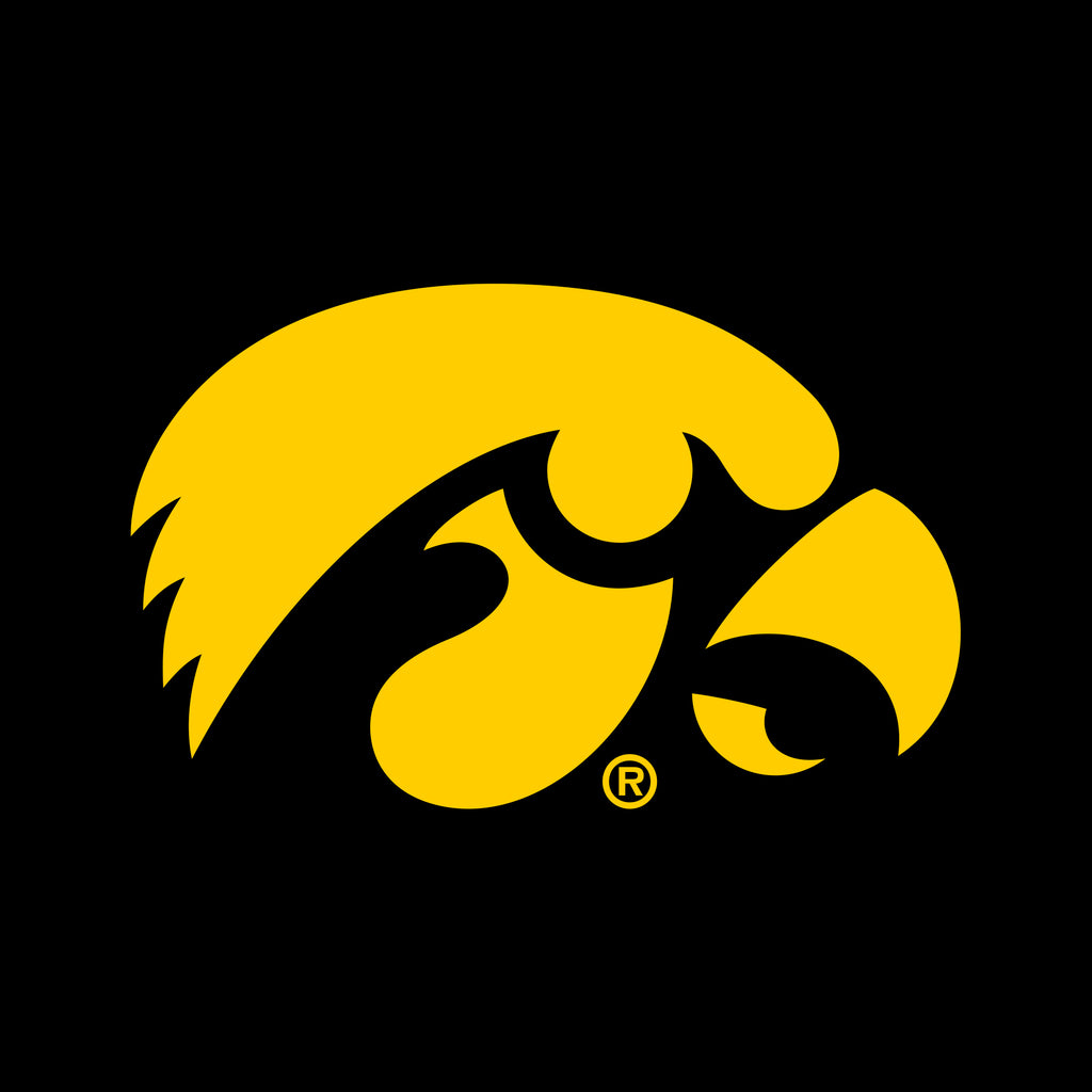 iowa hawkeye sweatpants