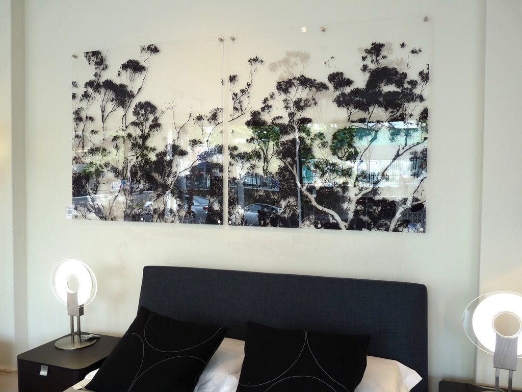 australian designed australian made signarture braidwood perspex art diptych