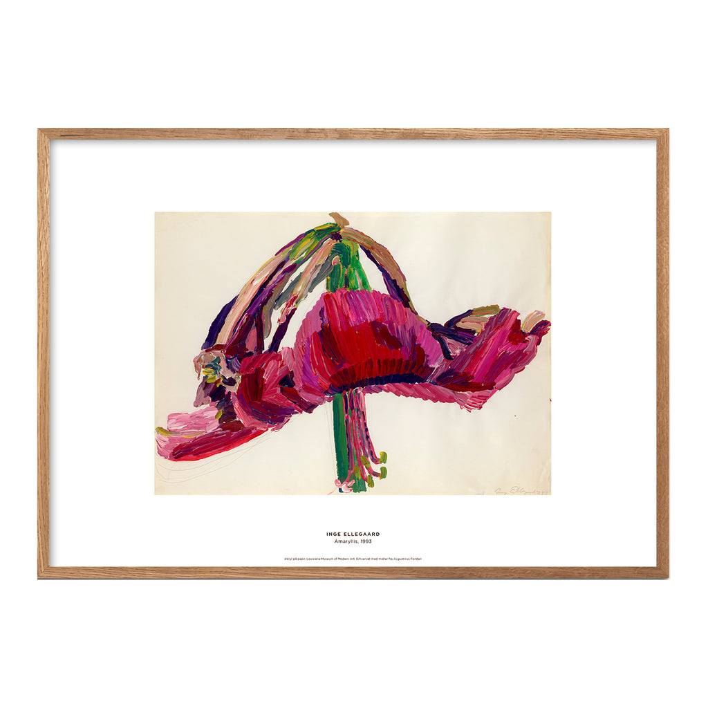 Inge - Amaryllis med ramme i eg - Louisiana print – Louisiana Butik
