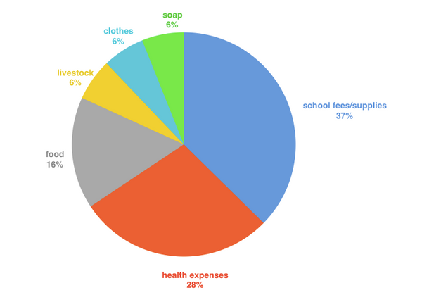 Pie chart with income uses for communities in Ghana