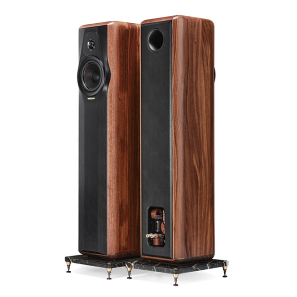 sonus faber maxima amator price