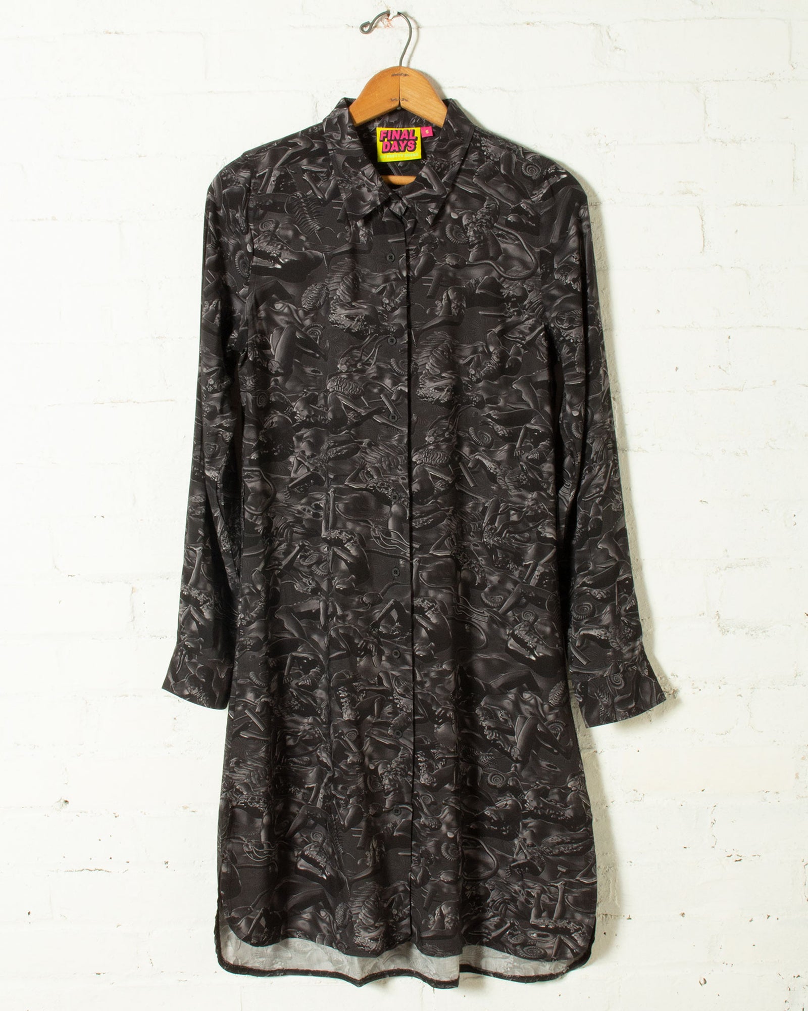 fossilized shirt dress