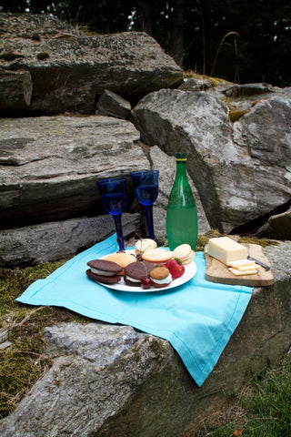 a picnic with whoopie pies