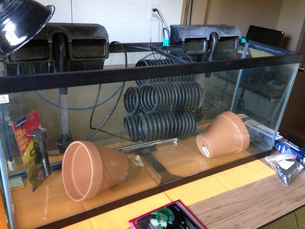 Brood Tank Kit (55 Gallon) for Tilapia Breeding – Official: Backyard ...