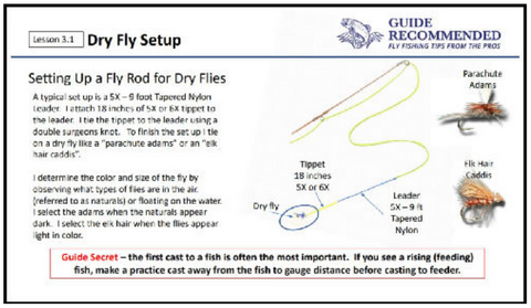 Fly Fishing with Ant Patterns (Setup, Flies and More) – Kylebooker