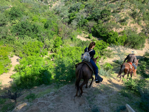 The backpack is taken on a wonderful horse ride in Baja. We are on a steep downhill with green scenery.
