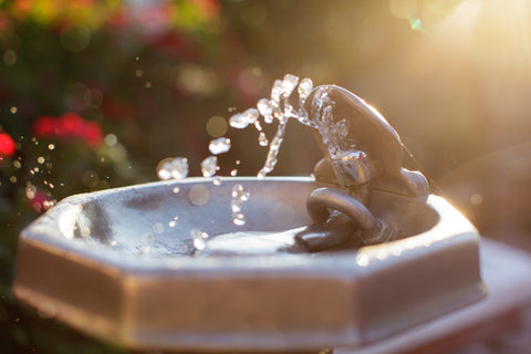 Water Fountain