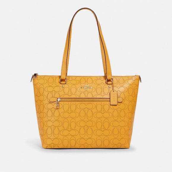 coach perforated tote