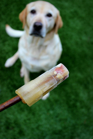 frozen treats, dog treats, summer treats, pets, cool, summer