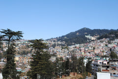 Shimla