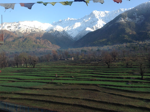 Near Dharamshala