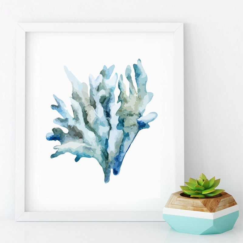 Beautiful Colorful Coral Specimens Subtle Abstract Wall Art Marine Life Fine Art Canvas Prints Paintings For Bathroom Nordic Style Interior Decor