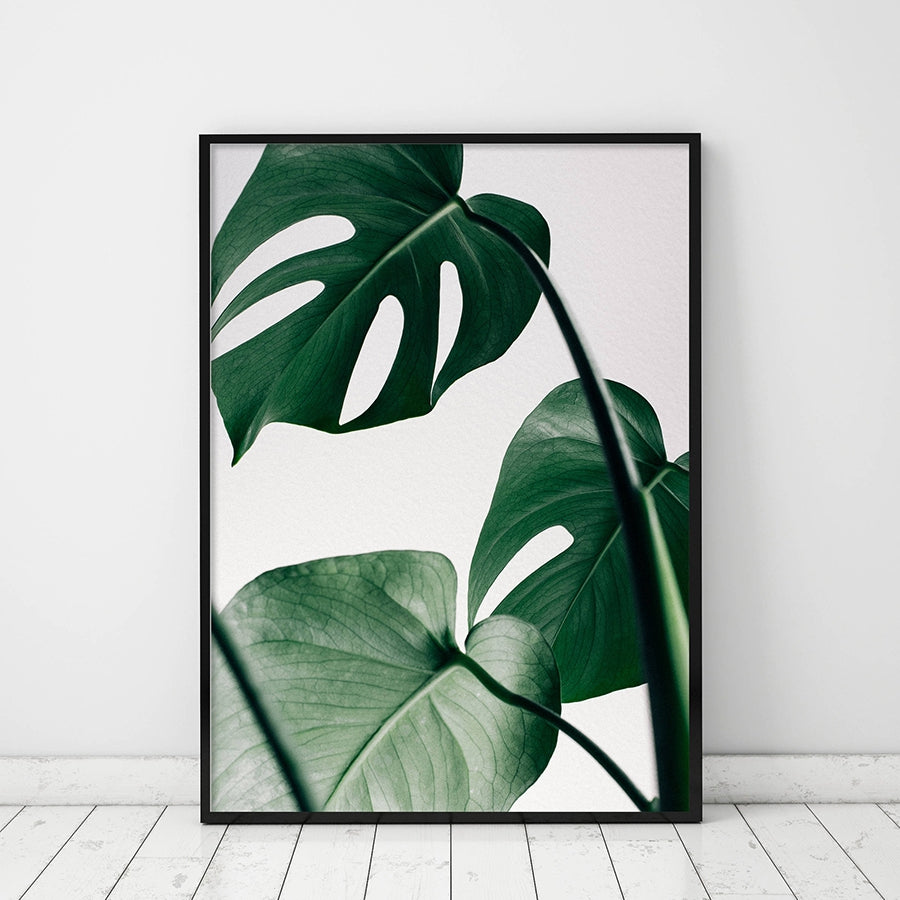 Follow Your Dreams Poster Don't Give Up Inspirational Quotation Wall Art With Beautiful Monstera Leaf Painting Fine Art Nordic Style Canvas Prints