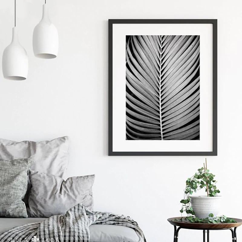 Stylish Black White Tropical Palm Leaves Wall Art Minimalist Today Quotation Fine Art Canvas Prints Nordic Style Modern Interiors Home Decor