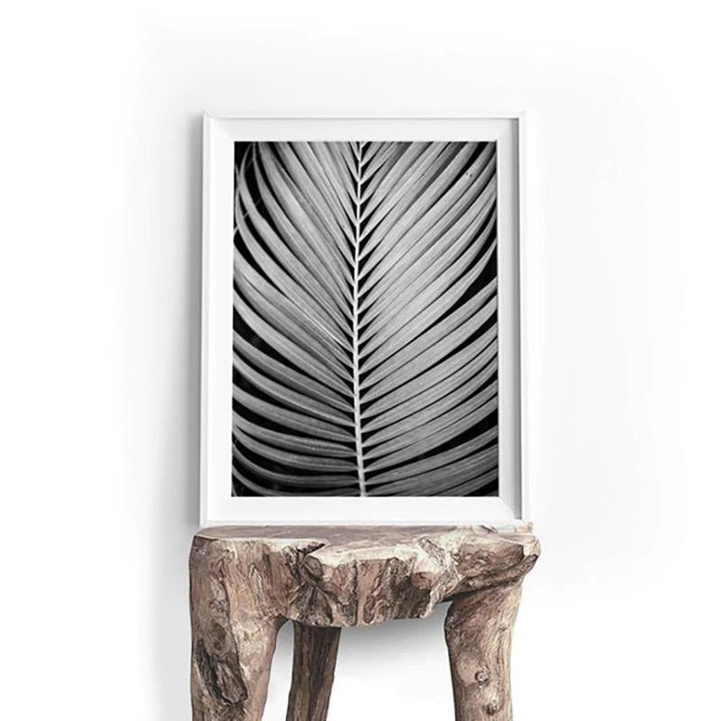 Stylish Black White Tropical Palm Leaves Wall Art Minimalist Today Quotation Fine Art Canvas Prints Nordic Style Modern Interiors Home Decor