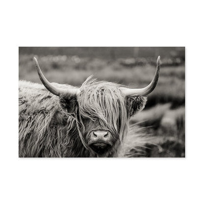 Scottish Highland Cattle Black And White Animal Wall Art Fine Art Canvas Giclee Print Modern Pictures For Office Interior Living Room Dining Room Home Decor