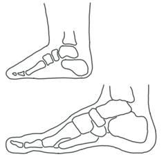 Featured image of post Sandals Drawing On Feet A simple way to draw feet is to begin by drawing the sole of the foot