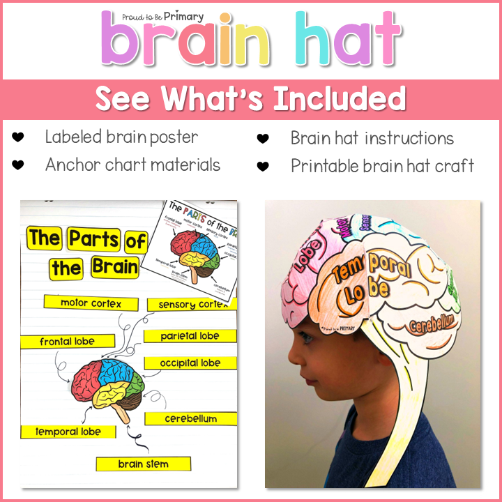 Human Brain Wearable Hat CraftN Proud to be Primary