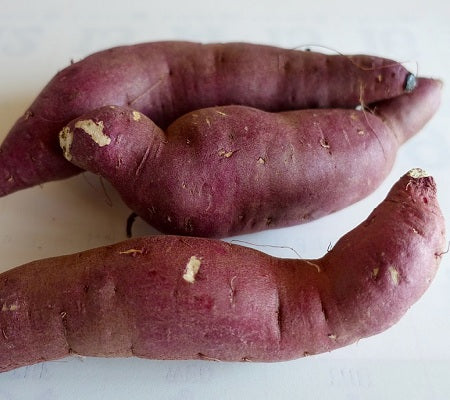 Sweet Potato -Nutrixia food 