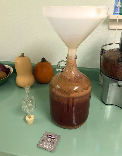 Cider in Small Carboy
