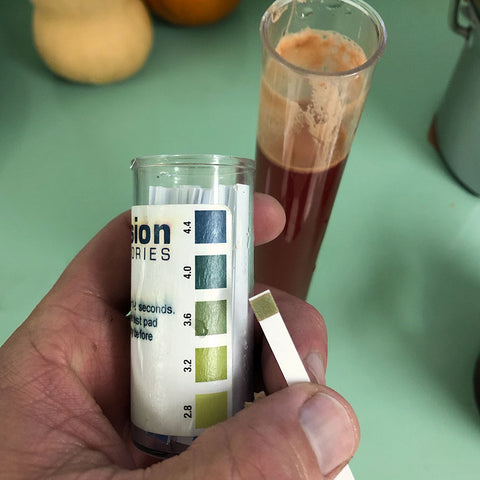 Testing pH of Cider with test strips
