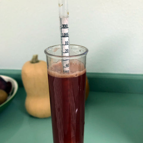 Hydrometer Reading in Specific Gravity Scale for Home Cider