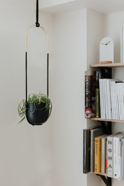 planter, hanging planter