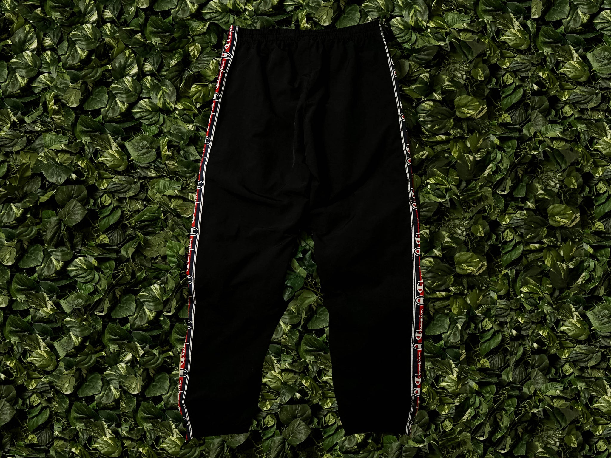 champion reverse weave popper taped track pant