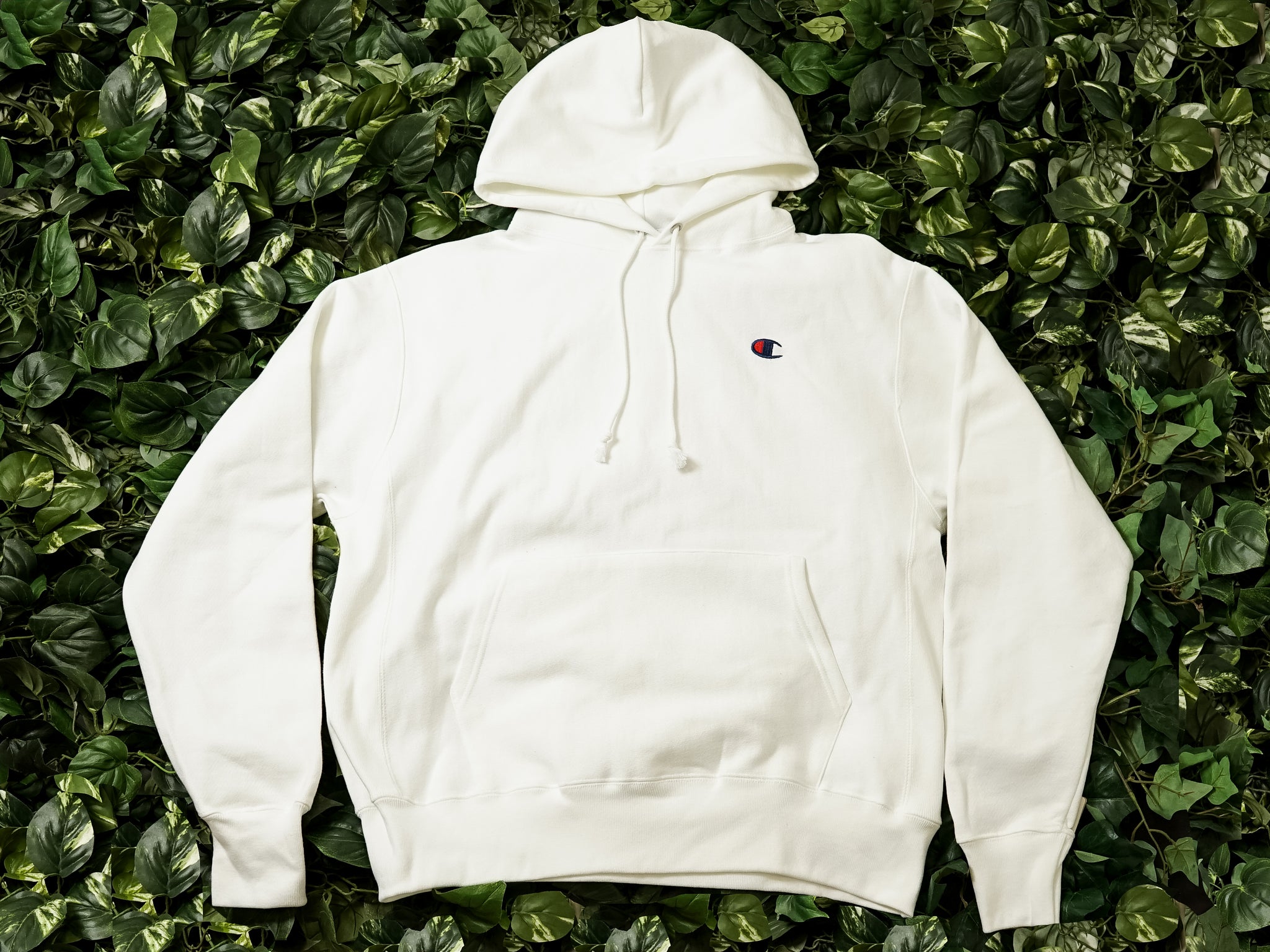 fleece champion hoodie