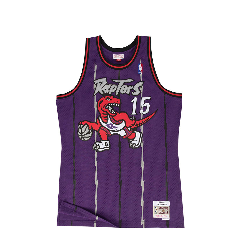 vince carter swingman jersey raptors