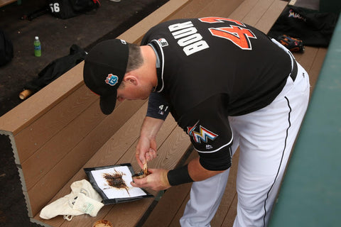 Pine Tar Marlins Justin Bour Miami