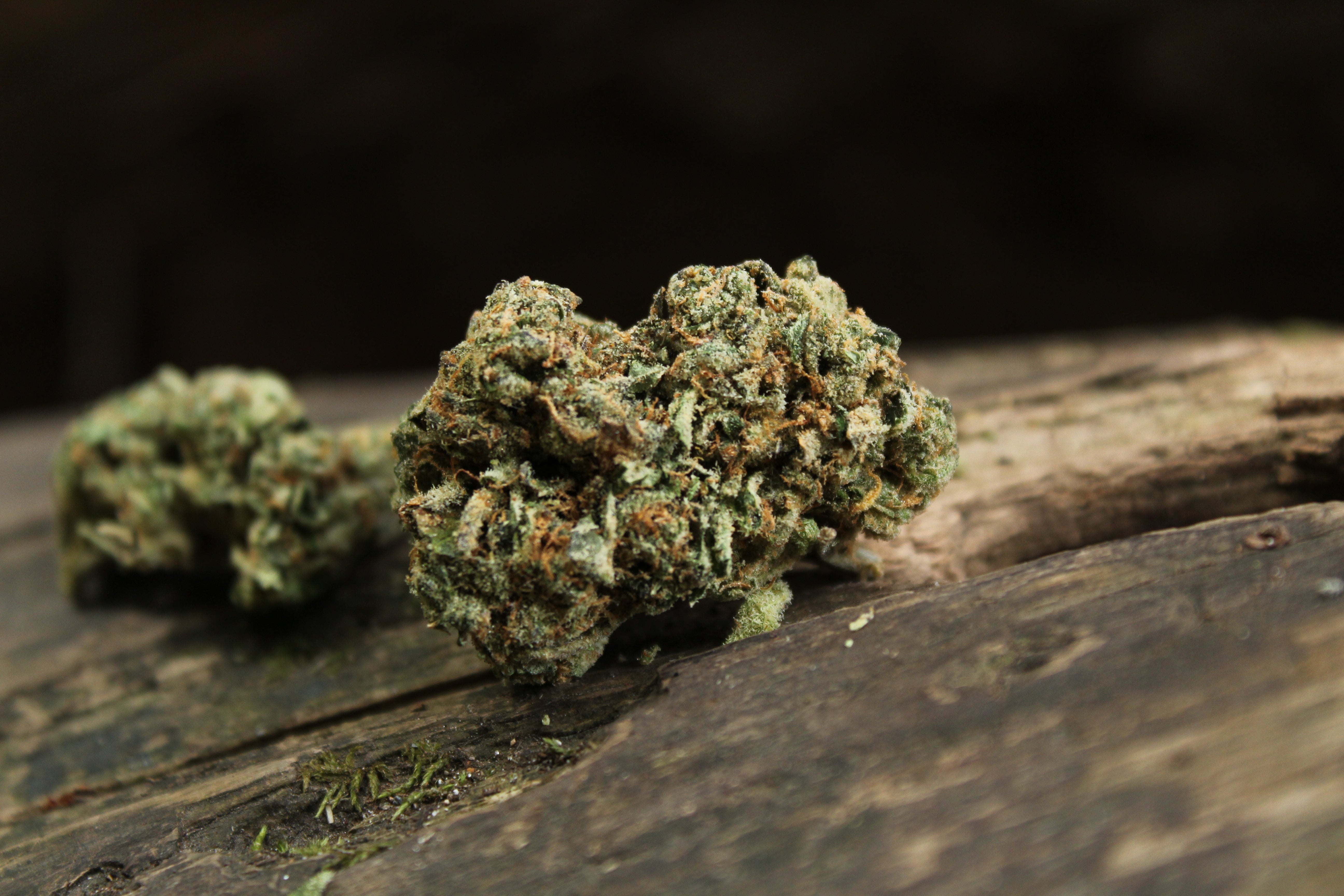 Top 5 Marijuana Strains That'll Make Your Day Brighter – HelloMD