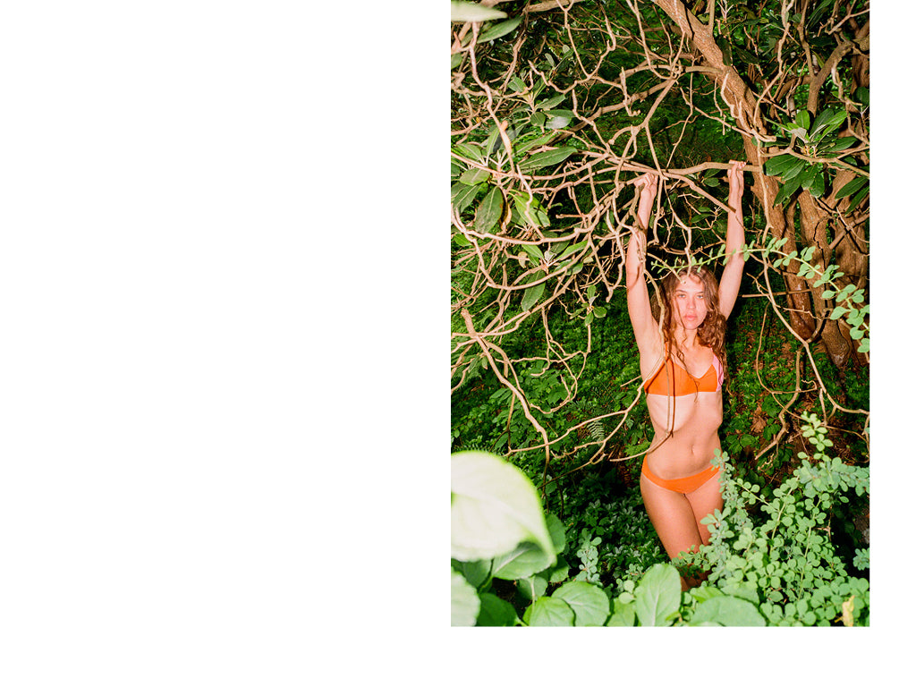 Image is of a woman hanging from a tree wearing an Orange and Pink bikini by Araks.