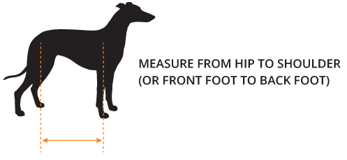 how do you measure a dogs back